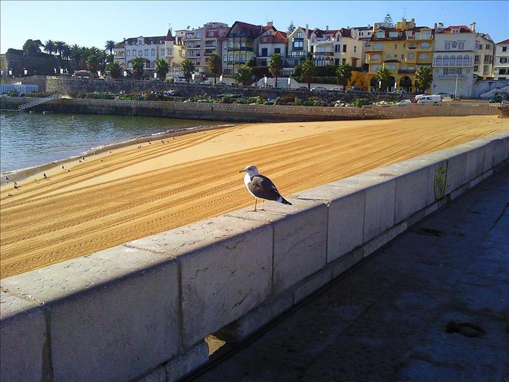 Casa Buganvília Cascais Exteriér fotografie